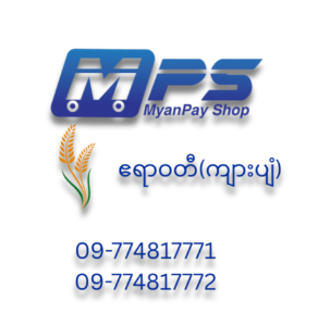 Picture for category ဧရာဝတီ (ကျားပျံ)